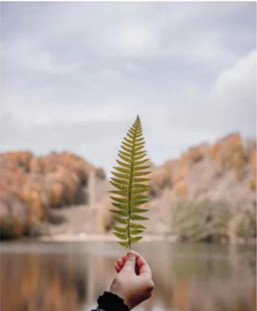 mnmn3